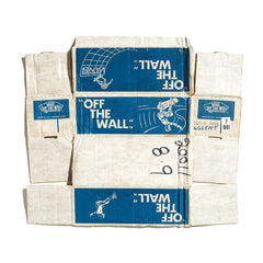 #FLYOFFTHEWALL commemorative box print ¬ vans off the wall (mens)